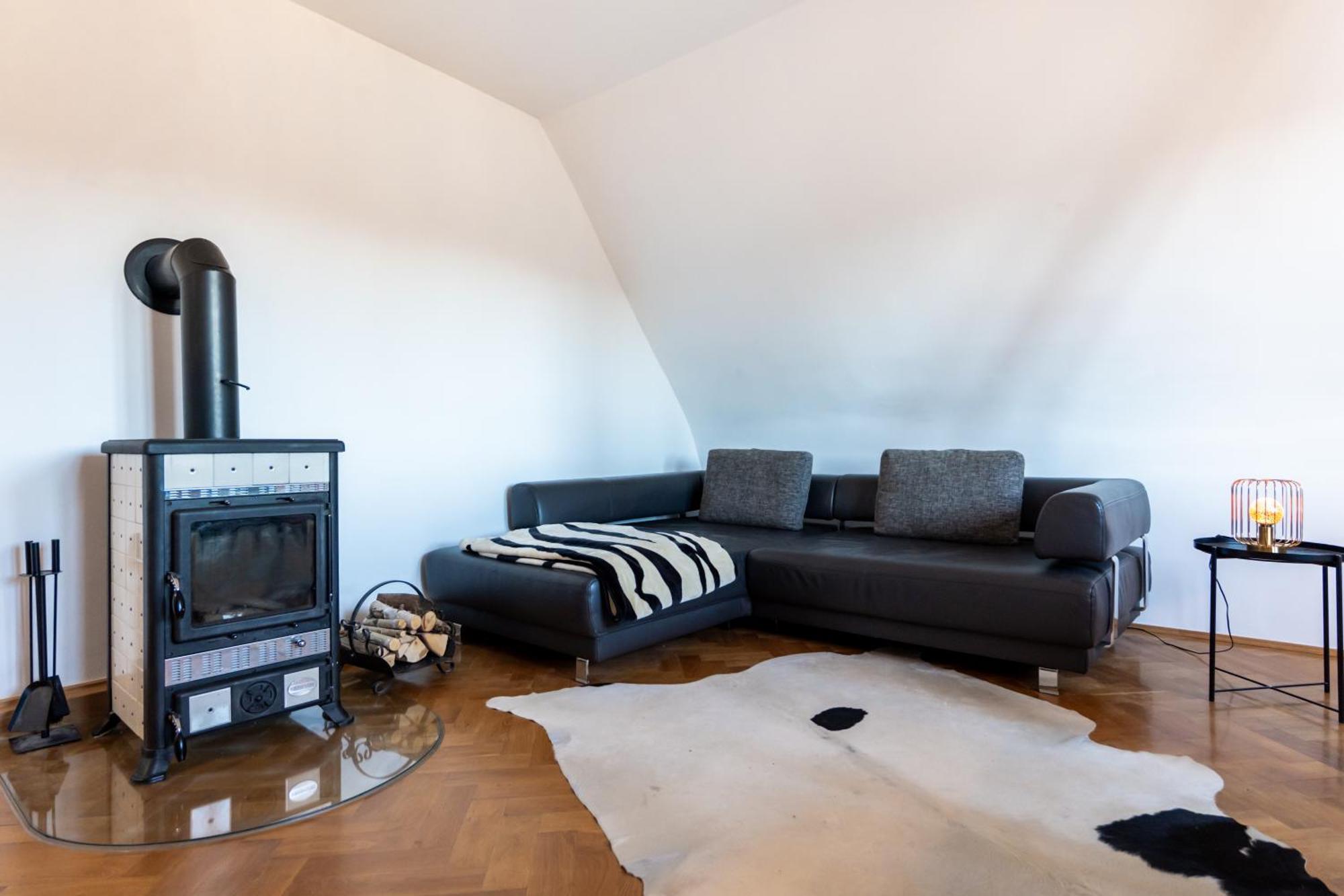 Doppelhaus- Villa Leipzig Schleussig , Moderner Altbau Apartment Dachetage Mit 2 Schlafzimmern Und Separatem Zusatzzimmer , Parkplatz - Balkon - Kamin - Eicheparkett - Arbeitsplatz Екстер'єр фото